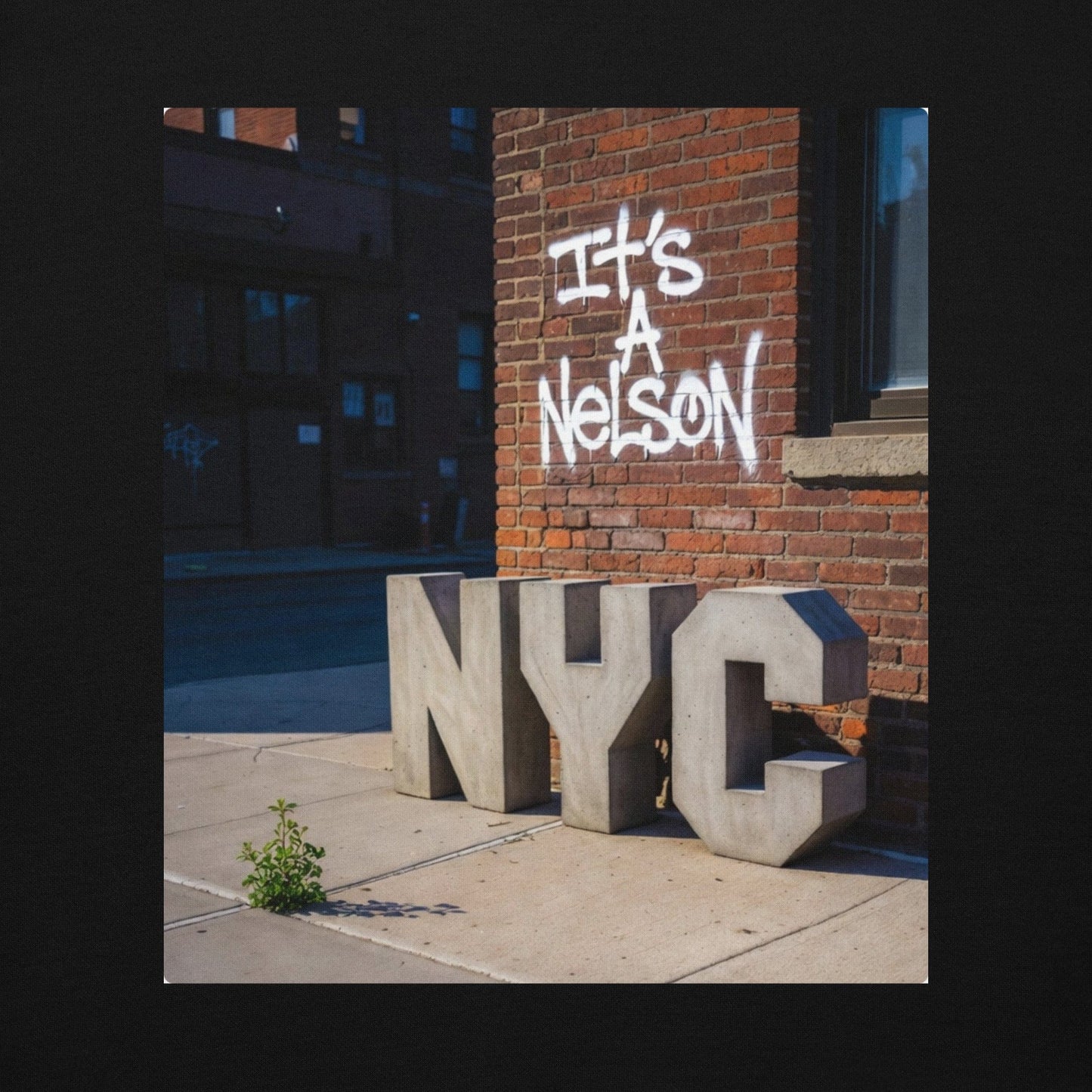 It's A Nelson T-SHIRT NYC | Unisex Hoodie
