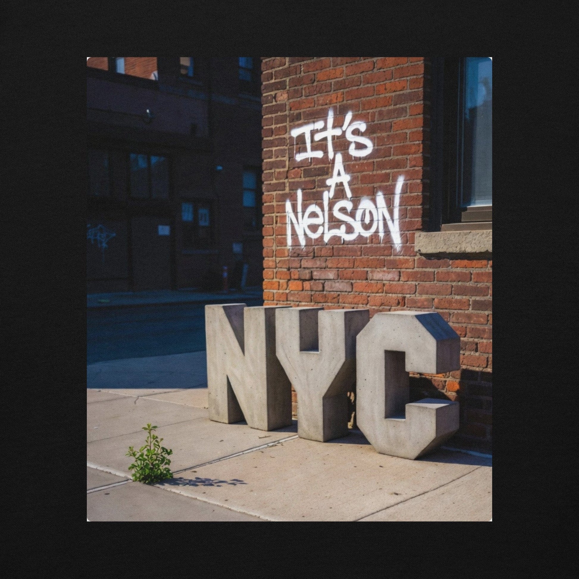 It's A Nelson T-SHIRT NYC | Unisex Hoodie